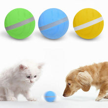 Load image into Gallery viewer, USB Electrical Pet LED Rolling Flash Ball Waterproof Kid Toy Magic Roller Ball Electric Pet Ball LED Rolling Flash Ball Fun Toy