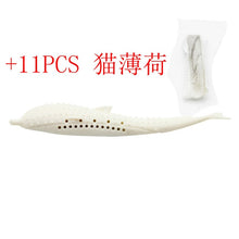 Load image into Gallery viewer, Pet Soft Plush Creative 3D Carp Fish Shape Cat Toothbrush Toy With Catnip,Pet Silicone Molar Stick Teeth Cleaning Cats Toys