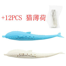 Load image into Gallery viewer, Pet Soft Plush Creative 3D Carp Fish Shape Cat Toothbrush Toy With Catnip,Pet Silicone Molar Stick Teeth Cleaning Cats Toys