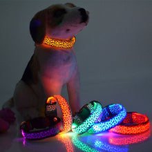 Load image into Gallery viewer, LED Dog Collar Flashing In Dark 3 Mode Lighting Safety Adjustable Nylon Leopard Pet Collar Luminous Pet Accessories