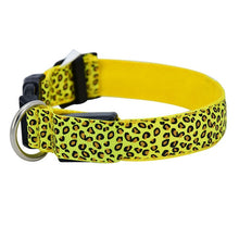 Load image into Gallery viewer, LED Dog Collar Flashing In Dark 3 Mode Lighting Safety Adjustable Nylon Leopard Pet Collar Luminous Pet Accessories