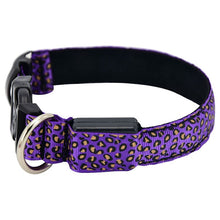 Load image into Gallery viewer, LED Dog Collar Flashing In Dark 3 Mode Lighting Safety Adjustable Nylon Leopard Pet Collar Luminous Pet Accessories