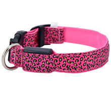 Load image into Gallery viewer, LED Dog Collar Flashing In Dark 3 Mode Lighting Safety Adjustable Nylon Leopard Pet Collar Luminous Pet Accessories