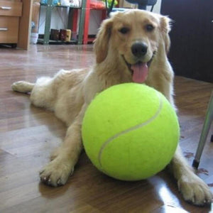 9.5Inch Dog Tennis Ball Giant Pet Toys for Dog Chewing Toy Signature Mega Jumbo Kids Toy Ball For Dog Training Supplies Dropship